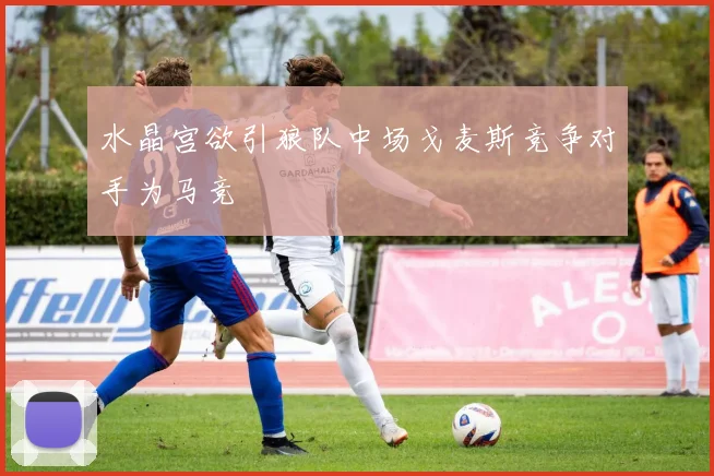 水晶宫欲引狼队中场戈麦斯竞争对手为马竞