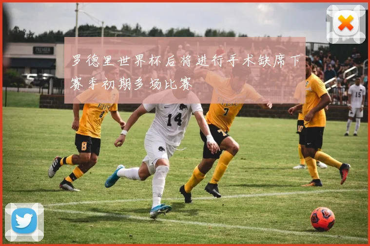 罗德里世界杯后将进行手术缺席下赛季初期多场比赛